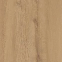 Lifeproof 8.7 in. W Hardeman Oak Click Lock Luxury Vinyl Plank Flooring (21.45 sq. ft./case)