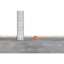 Lifeproof 5/16 in. Thick Waterproof Premium Plus Carpet Cushion with Air Channels and Ultra-Fresh -Lifeproof Sales Store lifeproof carpet padding 2000000821 c3 1000